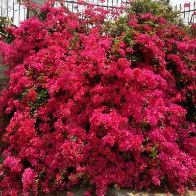 bzctw96852318's profile picture. if idkw dksood lloooe cvvv