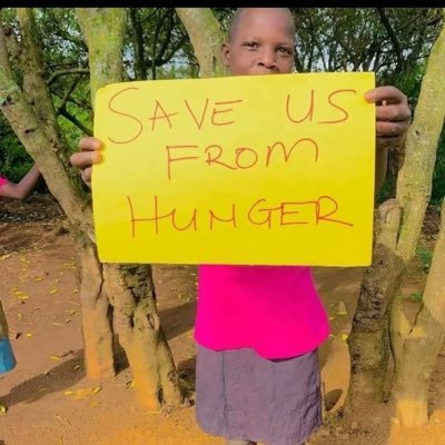YSanneh53109's profile picture. love your passion for helping 🙏!l’m humbly asking for support to provide with food ,clothing ,medical care ,shelter ,and education 📚for 32 orphans,any help