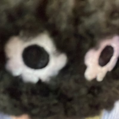 tenyaqing's profile picture. 