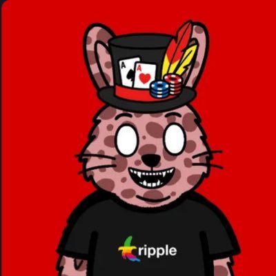 stacks_xrp's profile picture.