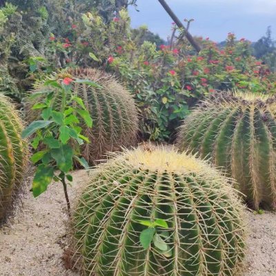 zfhuz24936936's profile picture. vvxzx sdsd vcvc zxzx