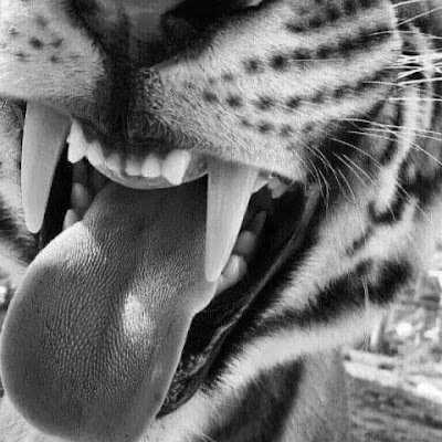 jung26_2's profile picture. 