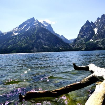 glorysmindd's profile picture. i make art and music