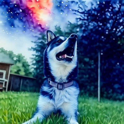 dkmitcheIl's profile picture.