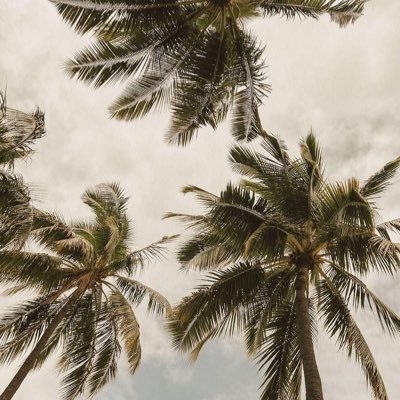 norau_18's profile picture. 