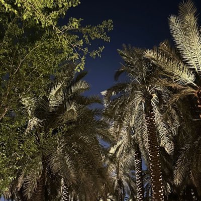 uvr_i4's profile picture. 