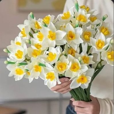 ElvieDaffodil's profile picture. I love Daffodil 💐:  a symbol of new beginnings, hope, renewal, and the promise of positive change.

✨️A walk to remember (2002) is everything ♥️