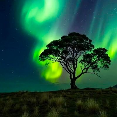 chaltc155's profile picture. @Karim KK.