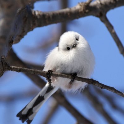 hanya093's profile picture. 主婦／人妻／裏垢／秘密 普段は口に出せないような事を、呟きます。初対面の人とホテル行きません。