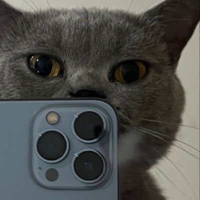 intox_bliss's profile picture. memes #XREY