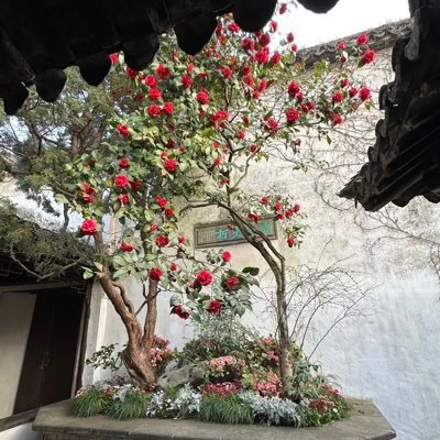 wnannan735's profile picture. 