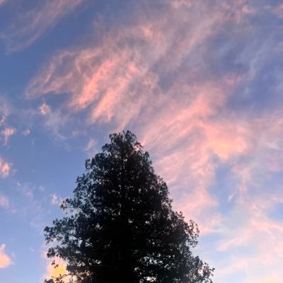 jayakawale's profile picture. Founder & AI/ML Technologist. A & Z's Mom. PhD in ML. Ex VP of Engg. Eternal dreamer. Views my own.