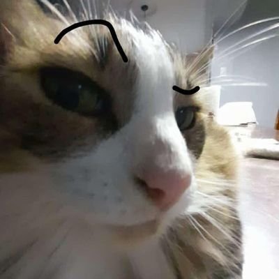 babygirlmoose's profile picture. fat pussy disorder.  professionally diagnosed