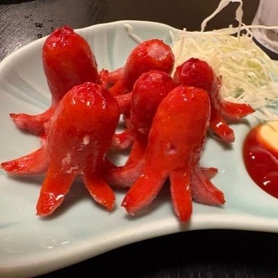 Coujyotyo's profile picture. ねこ猫好／写真の全ての顔が事故る人間