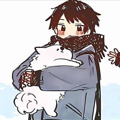matchzoca's profile picture. developer