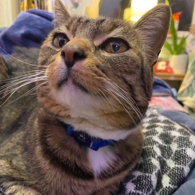 luciaumeki's profile picture. Venmo me @luciaumeki