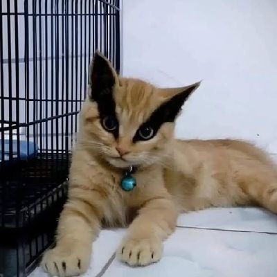 modgio2_3's profile picture. 