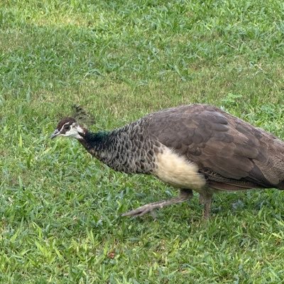 _owenj_'s profile picture. 