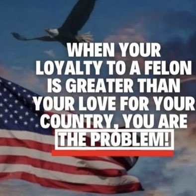 McEllie4's profile picture. I don’t recognize the USA  Trump and friends are destroying our democracy one day at a time.