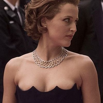 gillianturrs's profile picture. Mirando The X Files con raptor