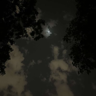 Ra_mu253's profile picture. اللهم صلِّ وسلم على نبينا محمد