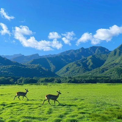 prybr31239647's profile picture. 諦めない心が、夢を現実に変える力を持っています。