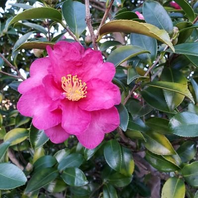 NTlviGjXXsmlRY5's profile picture. 中居正広が好き、SMAPの歌は最高🎵ジャニオタではありません🎵
俳優赤楚衛二さんも命有る限り(笑)応援したいです💕
柴犬飼い始めました♂

色んな事を呟きます。勧誘やエロ、アンリーさんはお断り。