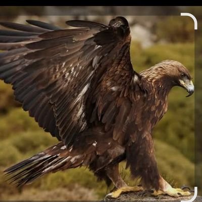 QcHYeYTCqV96617's profile picture. ウマ娘用垢。差し脚質を中心に育成してます！！
ウマ娘トレーナーID、705649850954
基本的に直近レギュレーションの差し用因子置いてます！