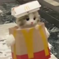 barelyraw's profile picture. 20 || nitian || dreamer