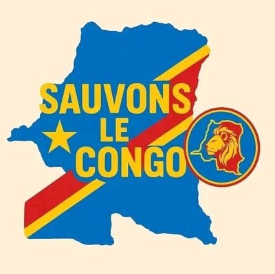 DelphinRam112's profile picture. Grand chef cuistot