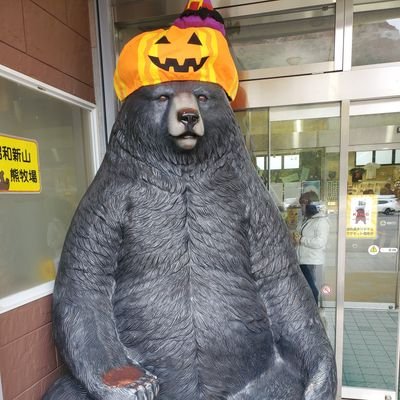 goldbearbear123's profile picture. 