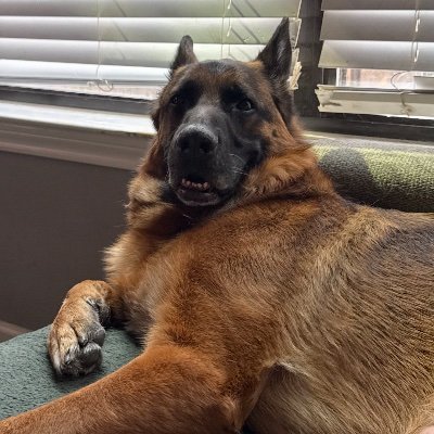 fakenickhomberg's profile picture. Michigan State University ‘16 loan officer https://t.co/ovZai8h0DA