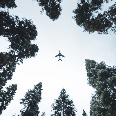 Ronald_Loa's profile picture. 无所求,亦有所求