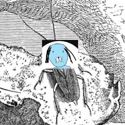 naruhanda's profile picture. ㅑ'ㅡ 햐기