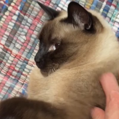 porlee22's profile picture.