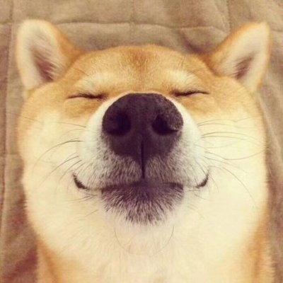 dotoc85853359's profile picture. high gfgr ghgh jyyuyu lopi