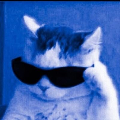 AakashOnChain's profile picture. On-chain every day so you don't have to⚡️

• Web3 thinker
• Alpha addict
• Meme enjoyer

Chasing market, culture & narratives - never chasing hype.