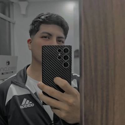 MennorIsMe's profile picture. 🇵🇪 CEO and Founder of @AscentGamingGG • Player of @ClashRoyale @BrawlStars @SquadBustersx