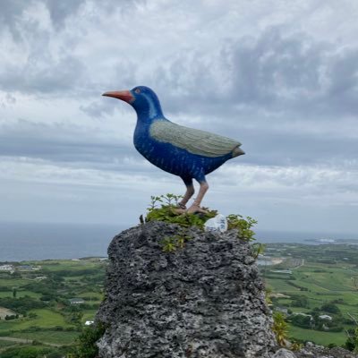 BiiigBroooo's profile picture. 医学生/M5(121回)/血液内科志望🩸