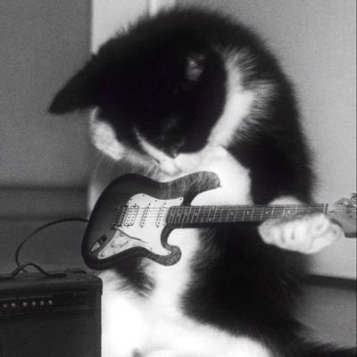 teugaduhnami916's profile picture. を