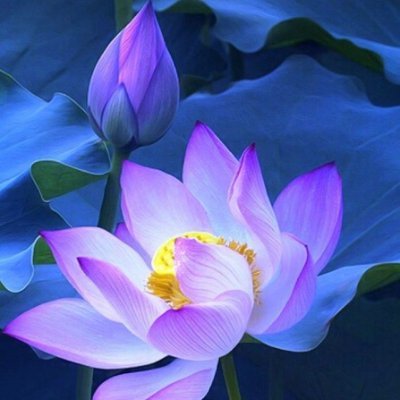 vjeqd61572563's profile picture. bfd dfd sde vcx