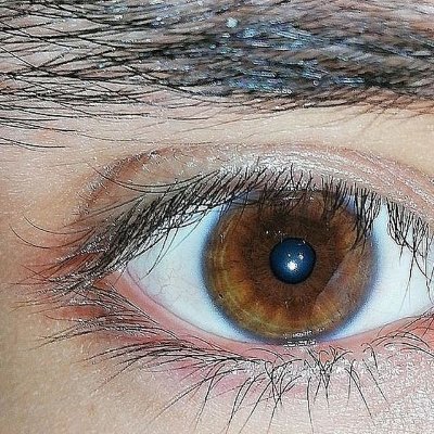 andrevp100's profile picture. Hello 🤠