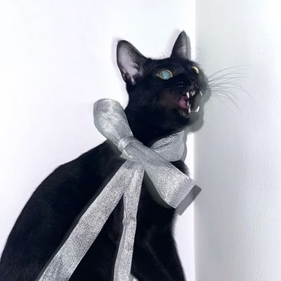 Y520131O's profile picture. 