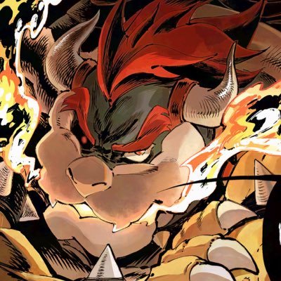 KoopZillaKilla's profile picture. Yes