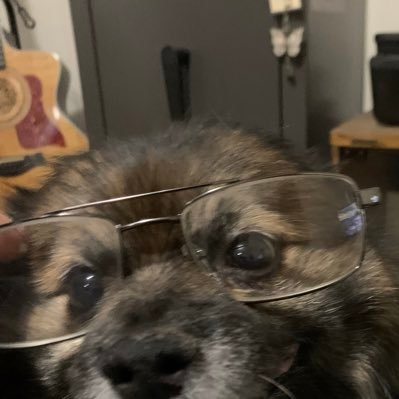 forever27madden's profile picture. 