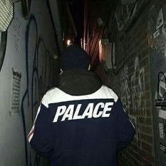 ql61z's profile picture. 17