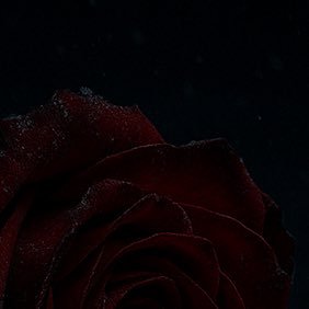 EzraYRH's profile picture. 