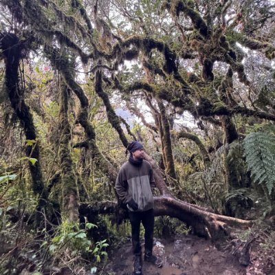 Nightshiftboiii's profile picture. lowkey