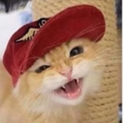 Andrew1isAndrew's profile picture. 