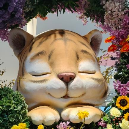 Vsshishi's profile picture. Don't waste your stressing about things , you can't change.